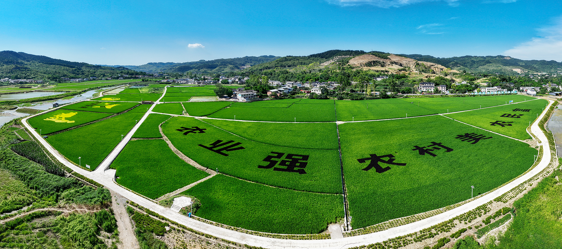 沃野田畴铺画卷   乡村振兴向富强