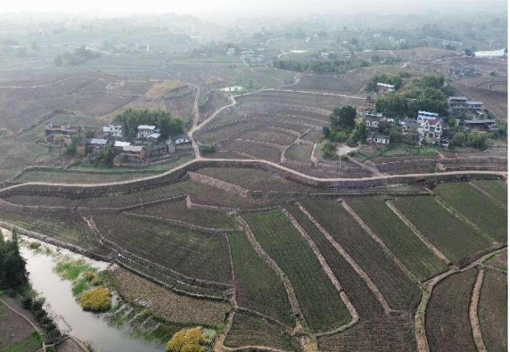 威远县强富美乡村振兴示范工程建设项目成功获批6.2亿元贷款助力乡村振兴